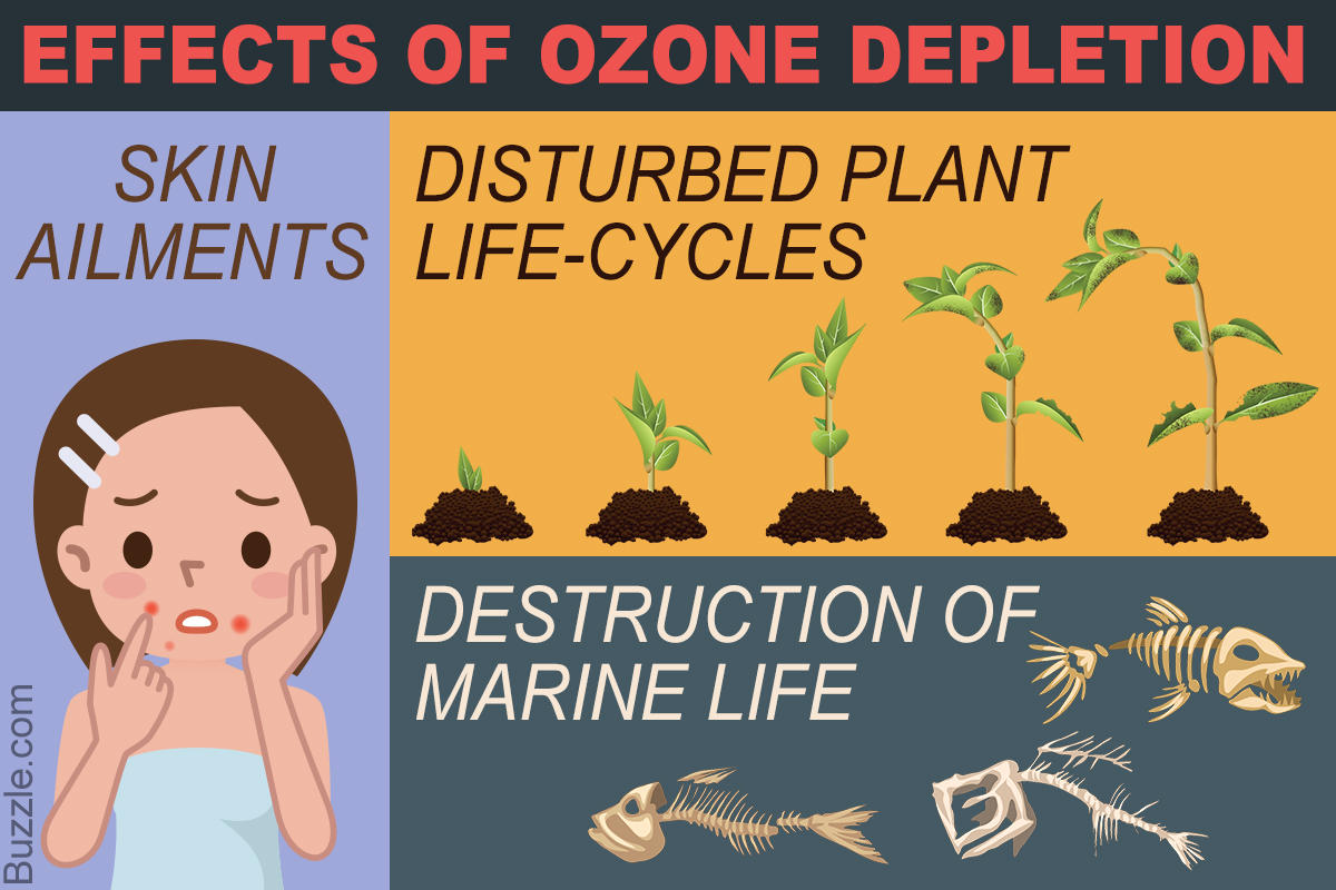 Ozone depletion. Ozone layer depletion. Consequences of Ozone depletion. Effects of Ozone layer. Destruction of the Ozone layer.